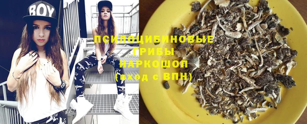 spice Абинск
