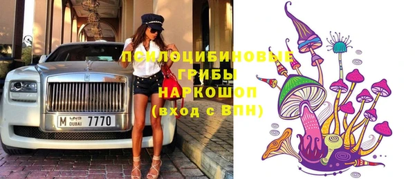 spice Абинск
